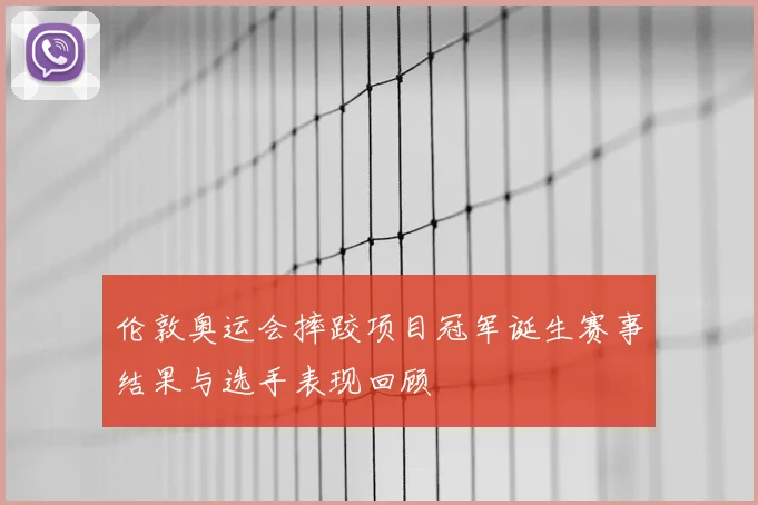 伦敦奥运会摔跤项目冠军诞生赛事结果与选手表现回顾