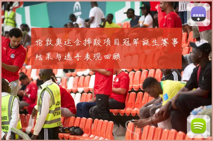 伦敦奥运会摔跤项目冠军诞生赛事结果与选手表现回顾