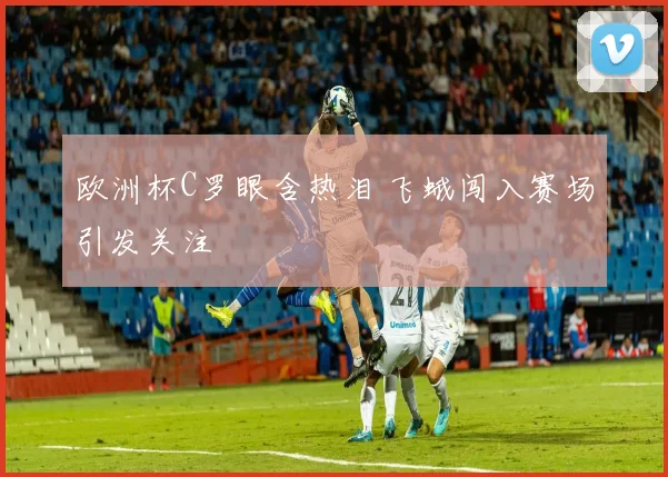 欧洲杯C罗眼含热泪 飞蛾闯入赛场引发关注